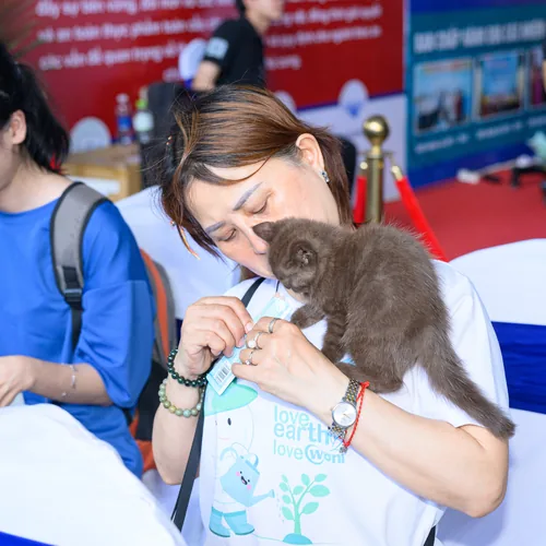 Sen và Boss tại quầy hoạt động