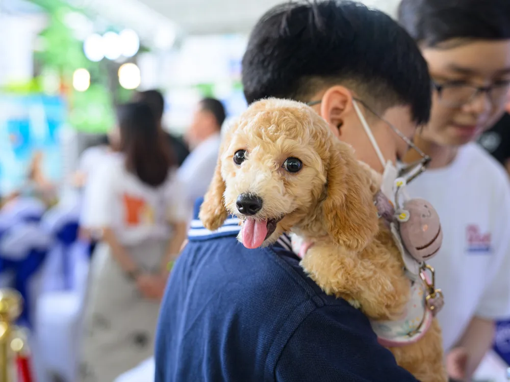 Khoảnh khắc tại Super Pet Fest 2024