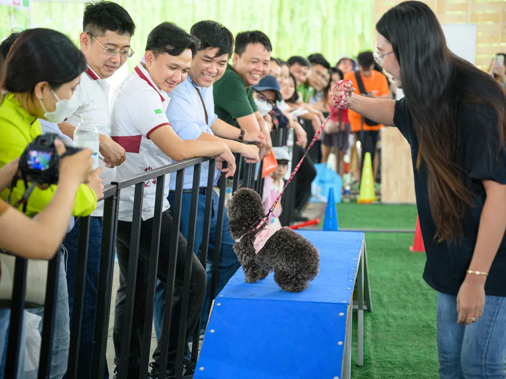 Khoảnh khắc tại Super Pet Fest 2024