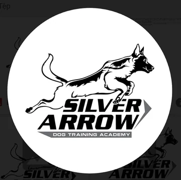 Silver Arrow